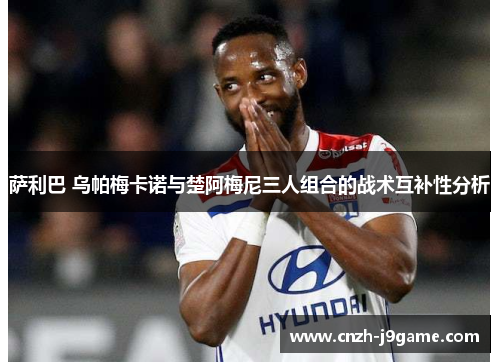萨利巴 乌帕梅卡诺与楚阿梅尼三人组合的战术互补性分析